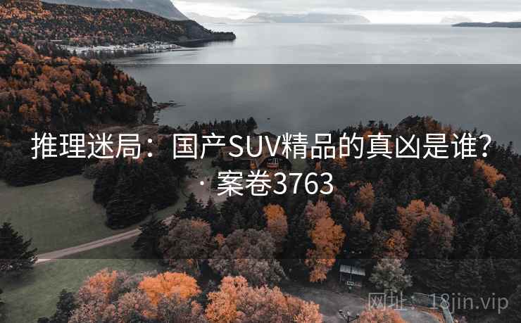 推理迷局：国产SUV精品的真凶是谁？ · 案卷3763