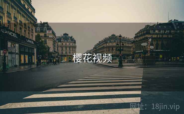 樱花视频 第2张