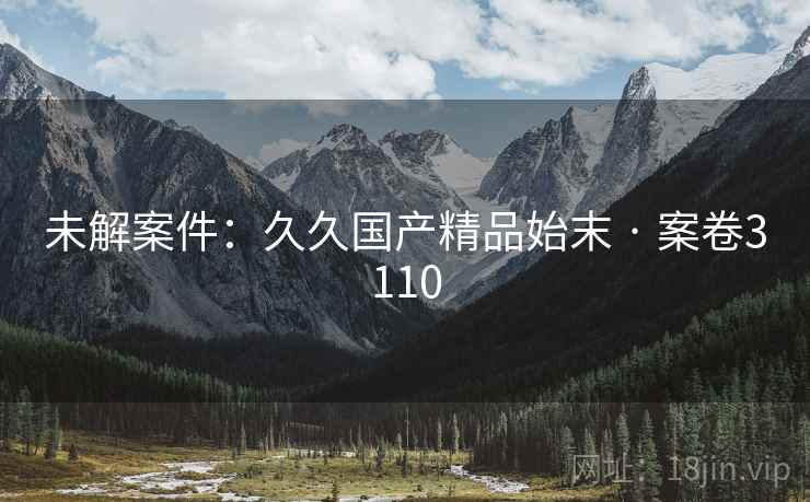 未解案件：久久国产精品始末 · 案卷3110