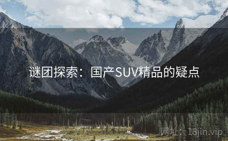 谜团探索:国产SUV精品的疑点