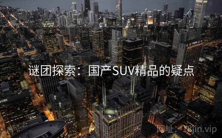 谜团探索:国产SUV精品的疑点
