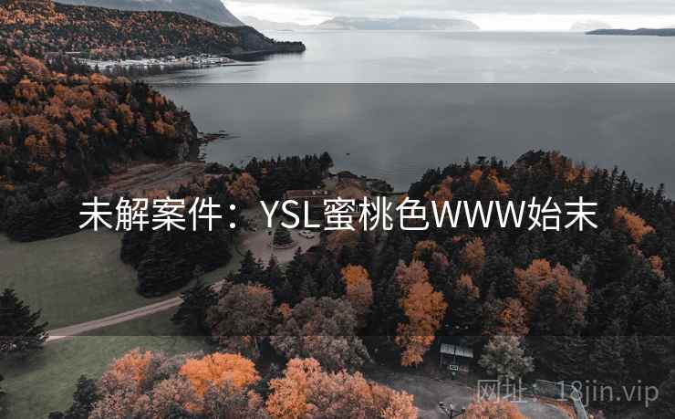 未解案件:YSL蜜桃色WWW始末