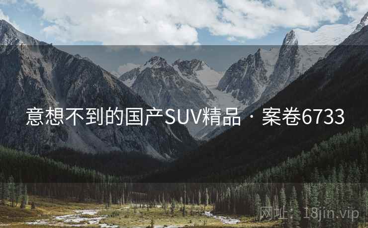 意想不到的国产SUV精品 · 案卷6733
