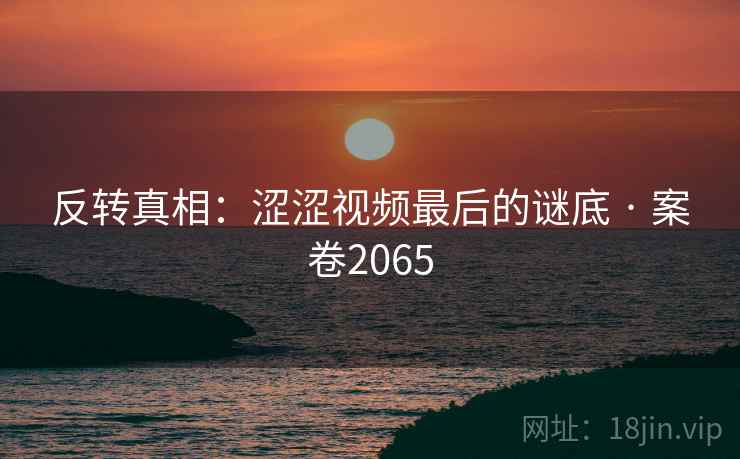 反转真相:涩涩视频最后的谜底 · 案卷2065