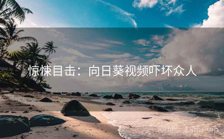 惊悚目击：向日葵视频吓坏众人